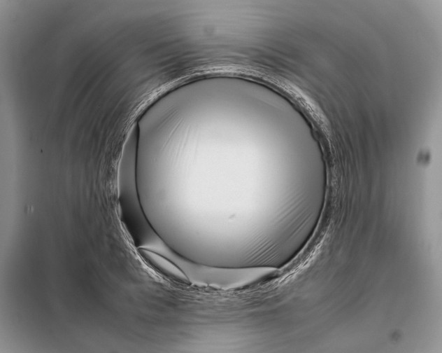 X0000098020993200804181157