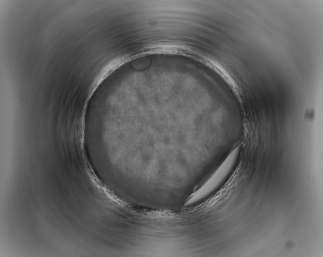 X0000098020994200804181157