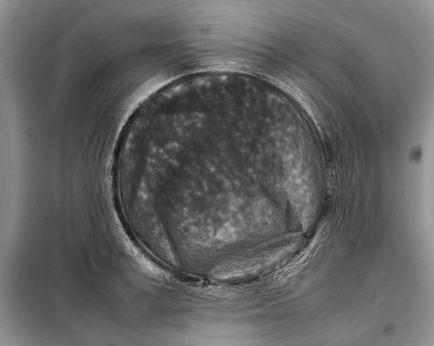 X0000098020995200804181157