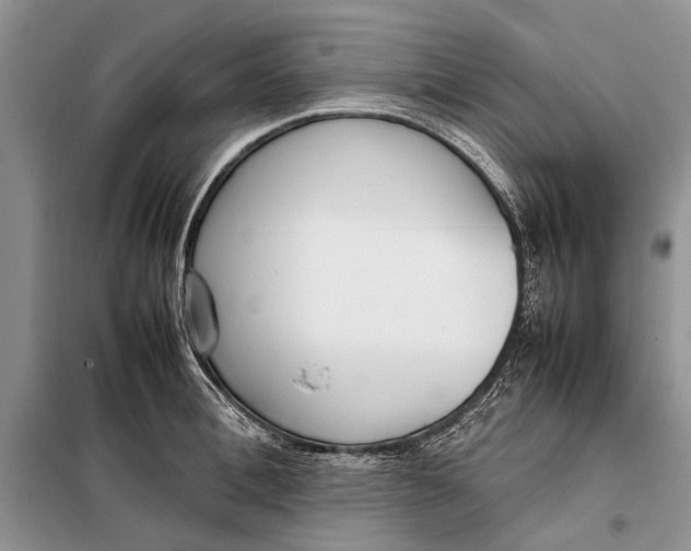 X0000098020996200804181157