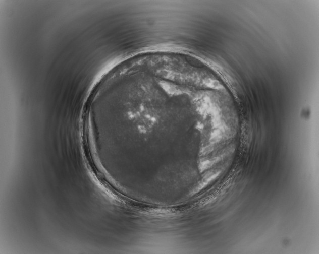 X0000098020998200804181157