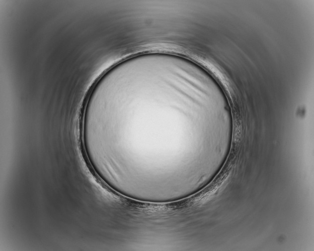 X0000098020999200804181157