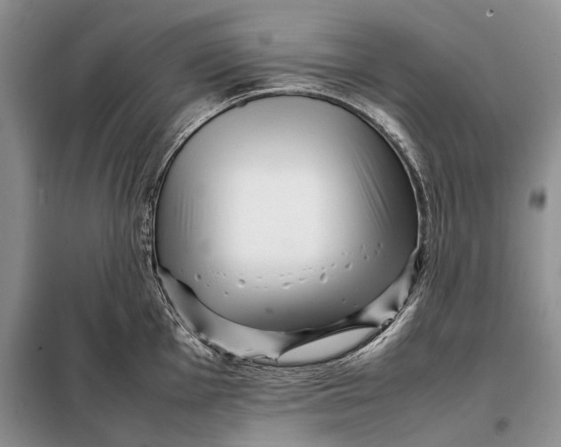 X0000098021001200804181157