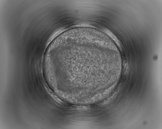 X0000098021002200804181157