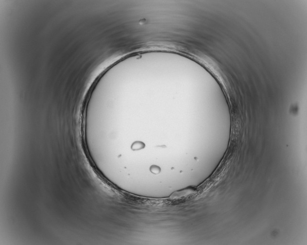 X0000098021003200804181157