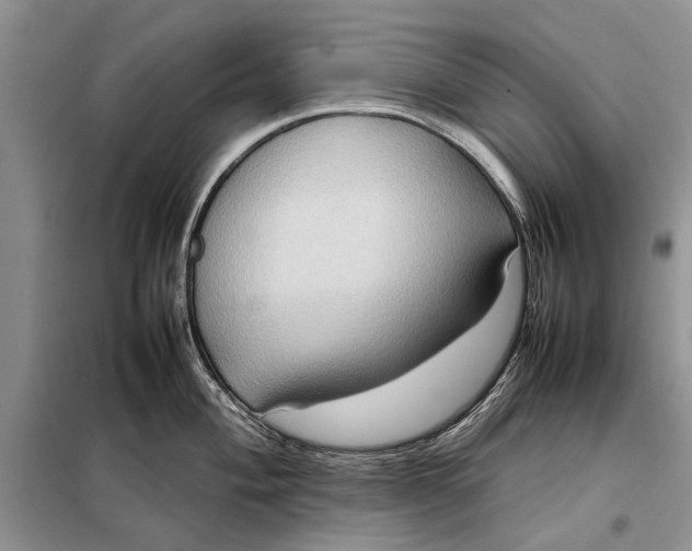 X0000098021004200804181157