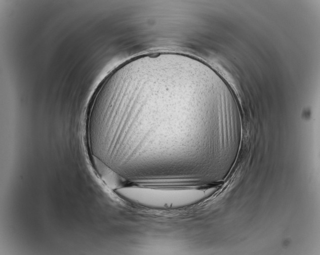 X0000098021005200804181157