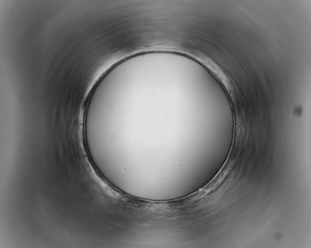 X0000098021006200804181157