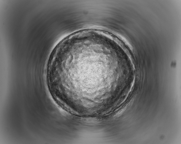 X0000098021007200804181157