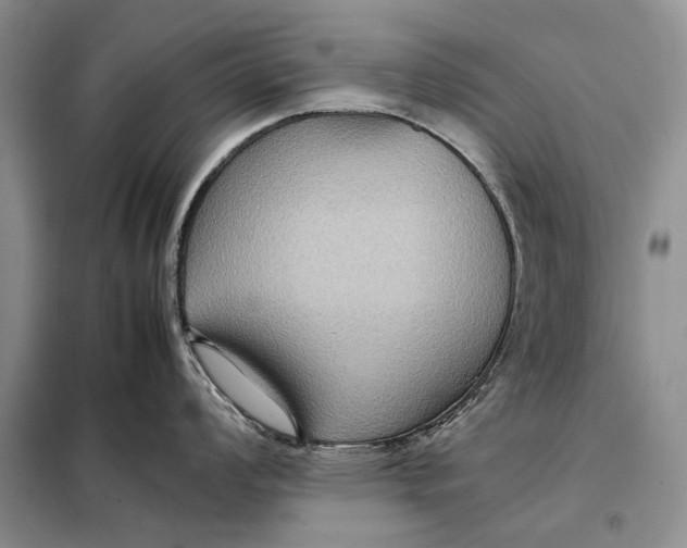 X0000098021008200804181157