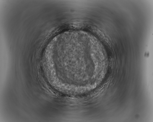 X0000098021009200804181157