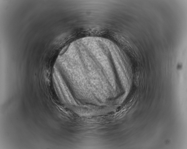 X0000098021010200804181157