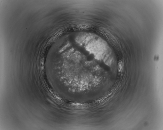 X0000098021011200804181157