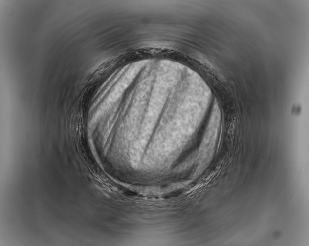 X0000098021014200804181157