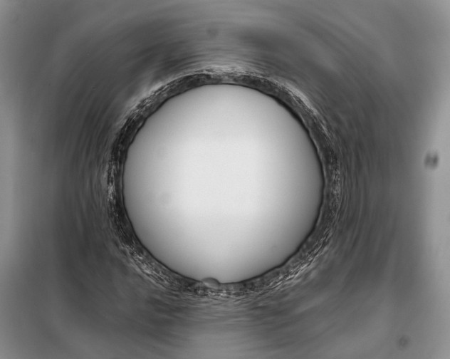 X0000098021016200804181157