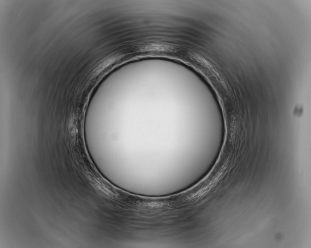 X0000098021017200804181157