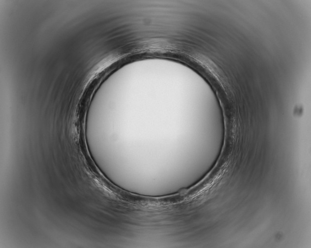 X0000098021018200804181157