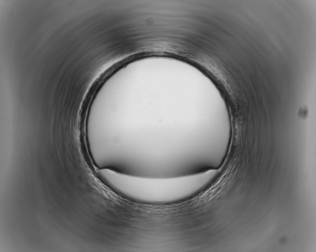 X0000098021020200804181157