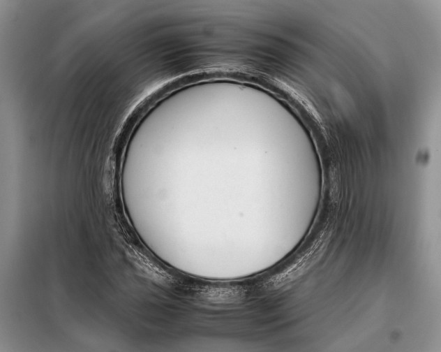 X0000098021021200804181157