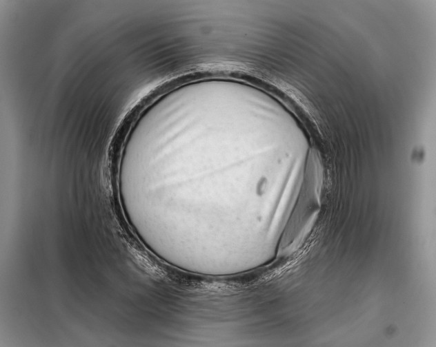 X0000098021022200804181157