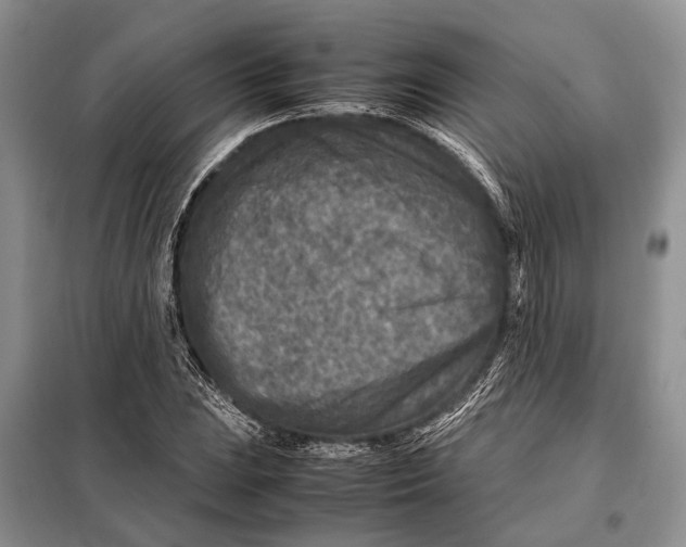 X0000098021023200804181157