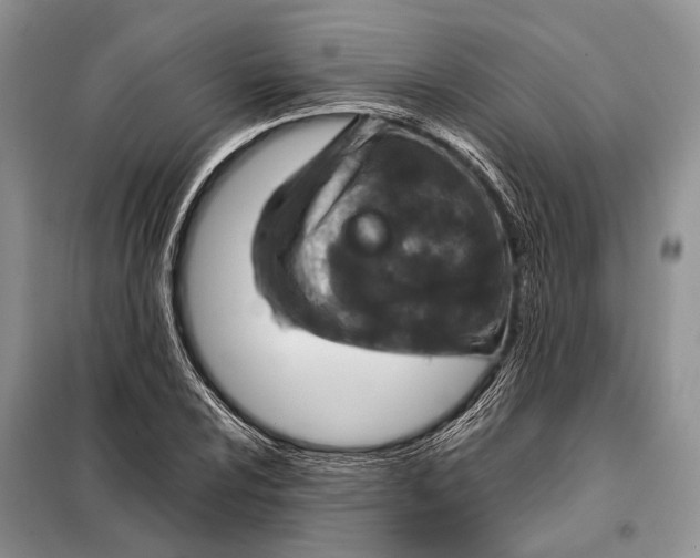 X0000098021024200804181157