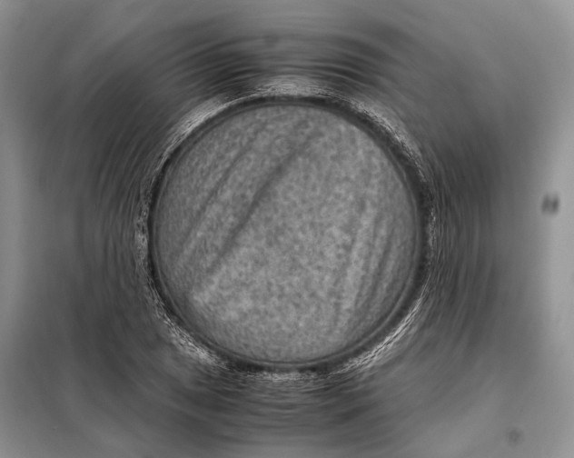 X0000098021025200804181157