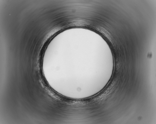 X0000098021026200804181157