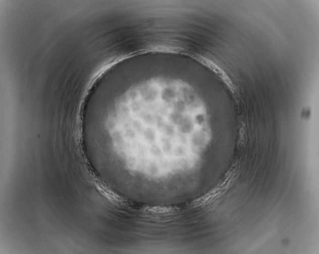 X0000098021027200804181157