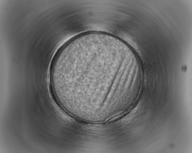 X0000098021028200804181157