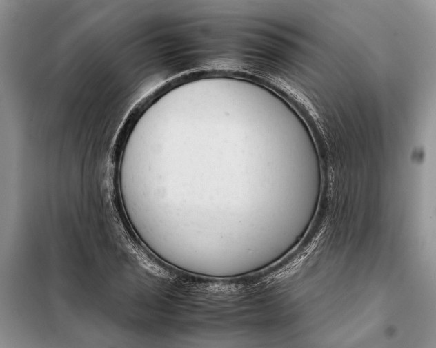 X0000098021029200804181157