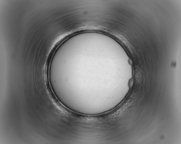 X0000098021030200804181157