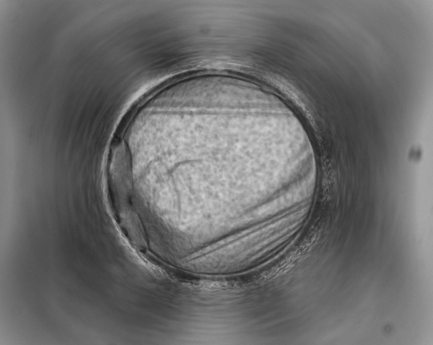 X0000098021032200804181157