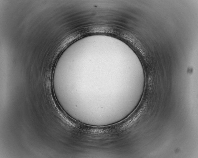 X0000098021033200804181157