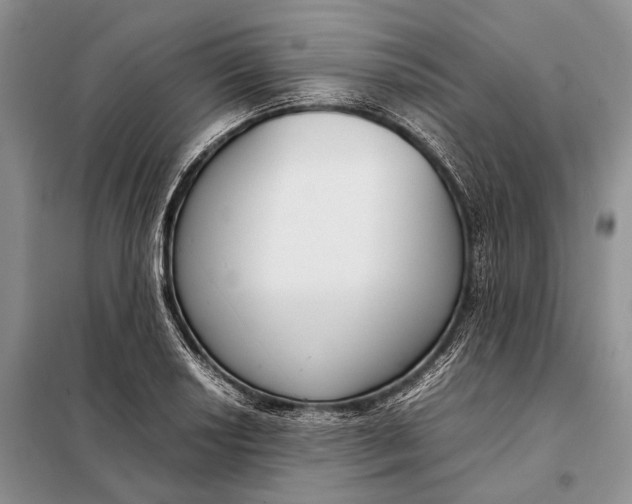 X0000098021034200804181157