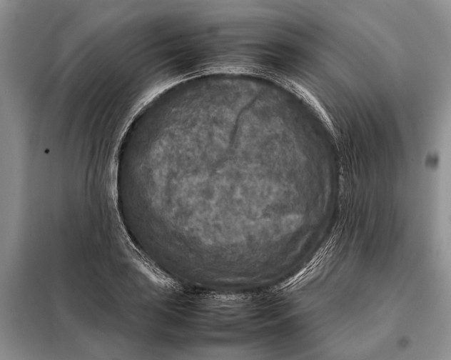 X0000098021035200804181157