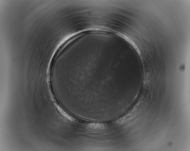 X0000098021037200804181157