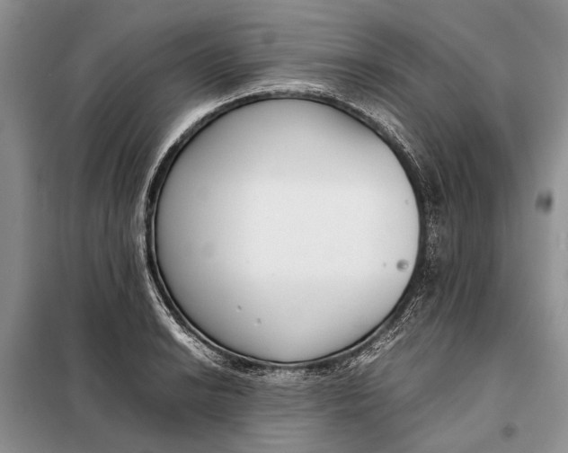 X0000098021038200804181157