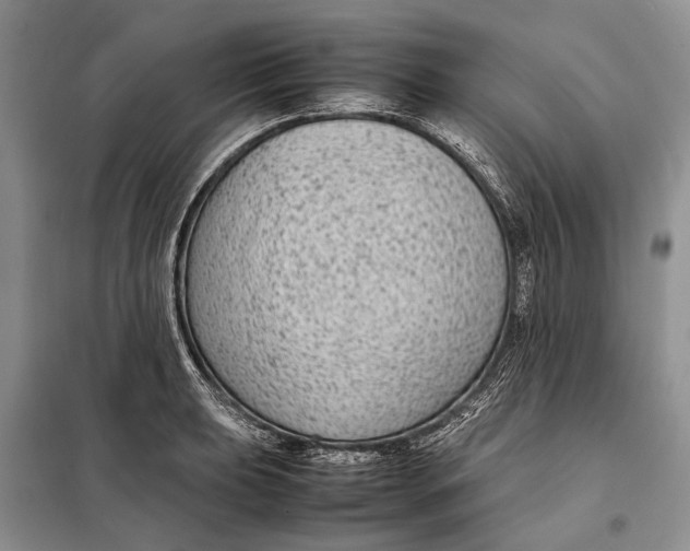 X0000098021039200804181157