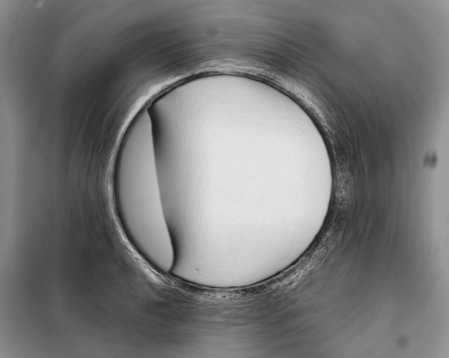 X0000098021040200804181157