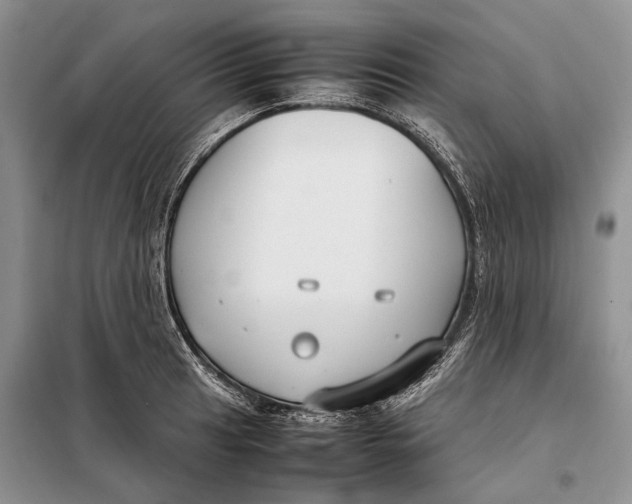 X0000098021041200804181157