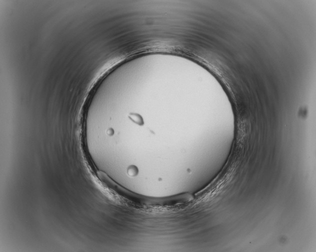 X0000098021042200804181157