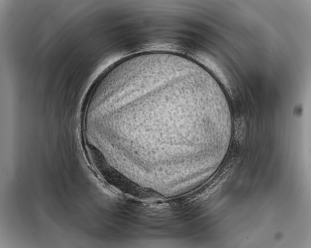 X0000098021043200804181157