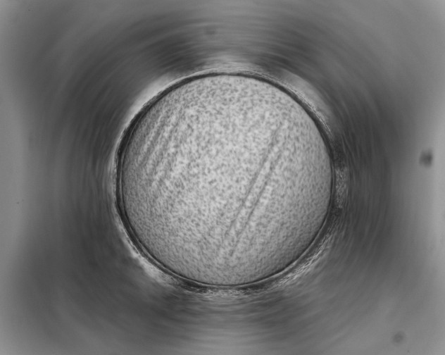 X0000098021046200804181157