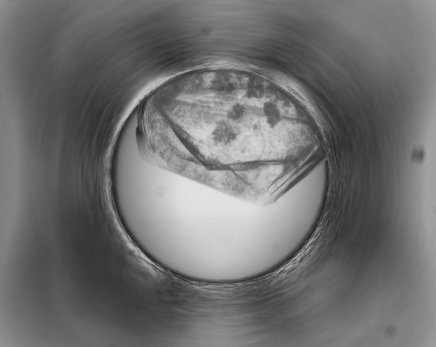 X0000098021048200804181157