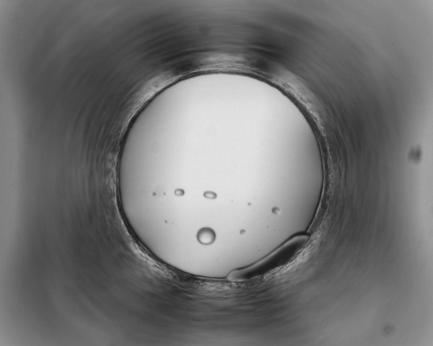 X0000098021049200804181157