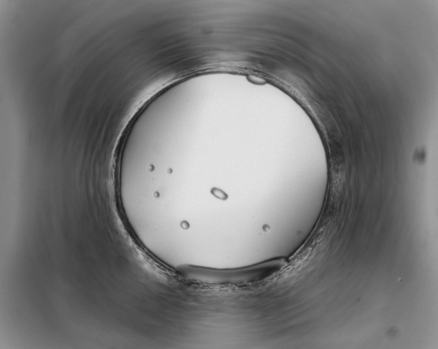 X0000098021050200804181157