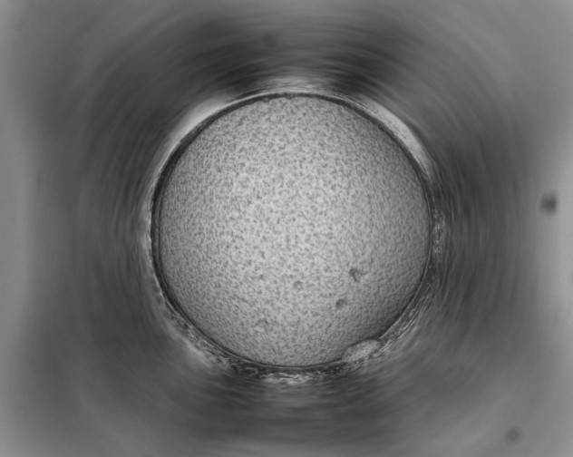 X0000098021051200804181157