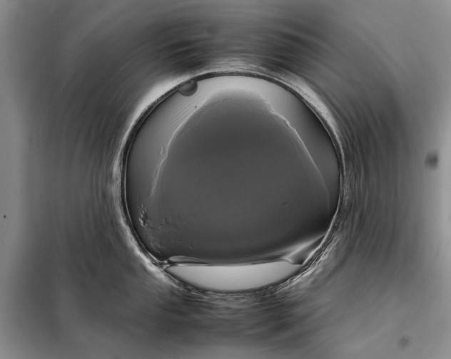 X0000098021053200804181157