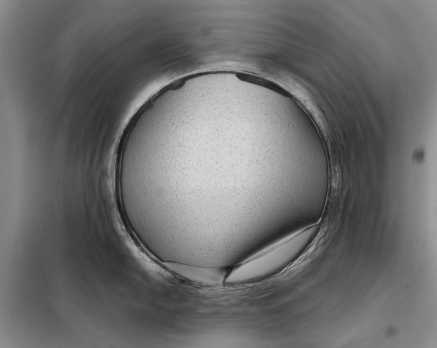 X0000098021054200804181157